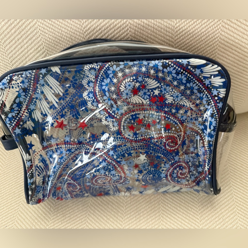 Stylish Blue and Red, Fireworks Paisley print, clear beach cosmetic Bag